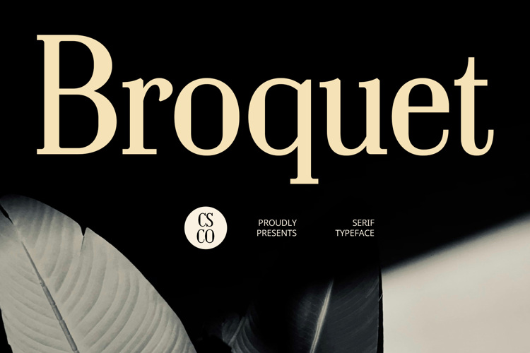 Preview of Broquet Font