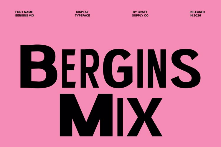 Preview of Bergins Mix Font