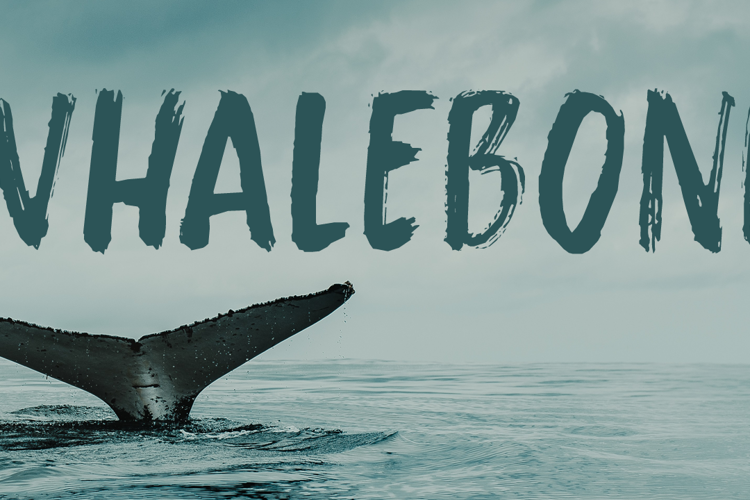Whalebone Font