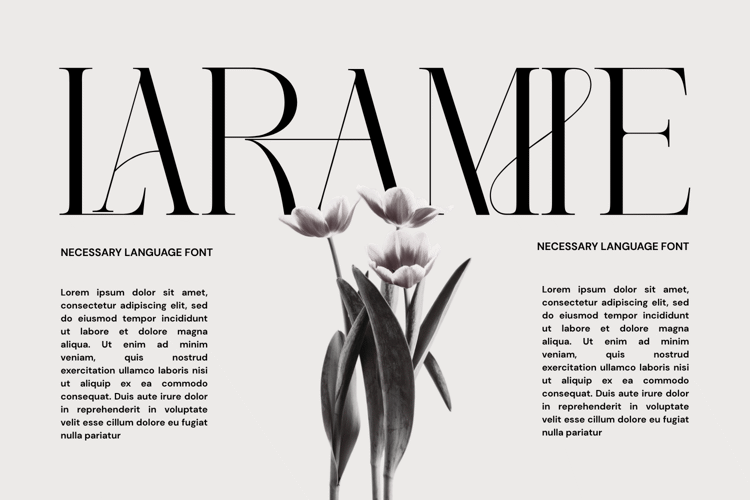 Preview of NECESSARY LANGUAGE Font