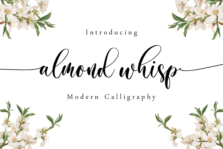 almond whisp Font