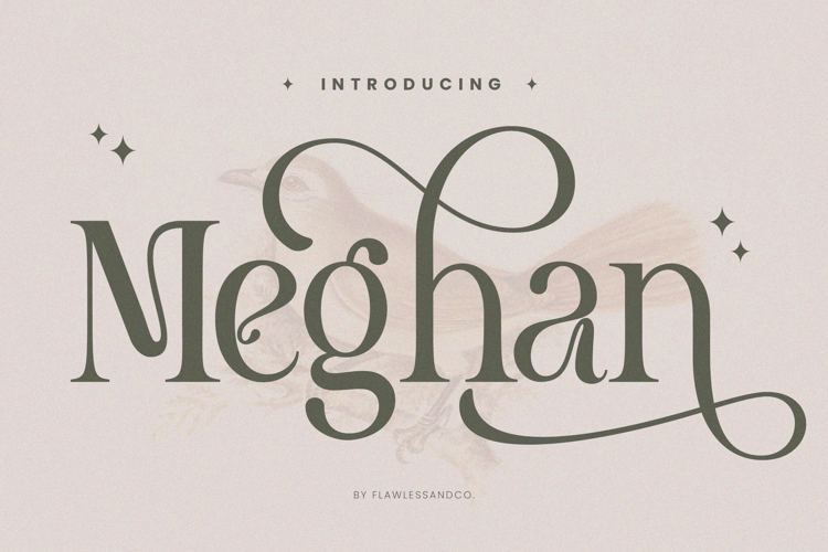 Meghan Font