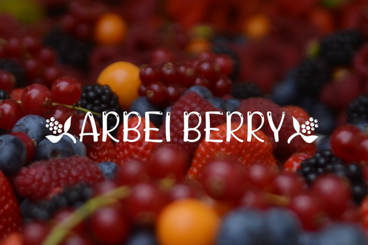 ARBEI BERRY Font