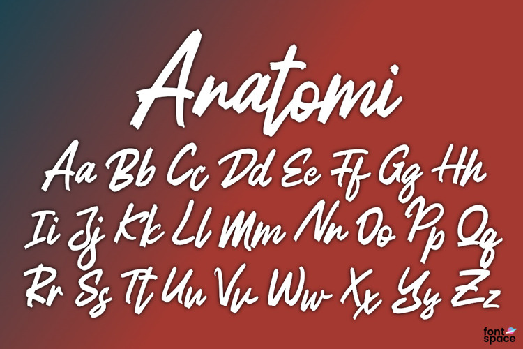 Anatomi Font