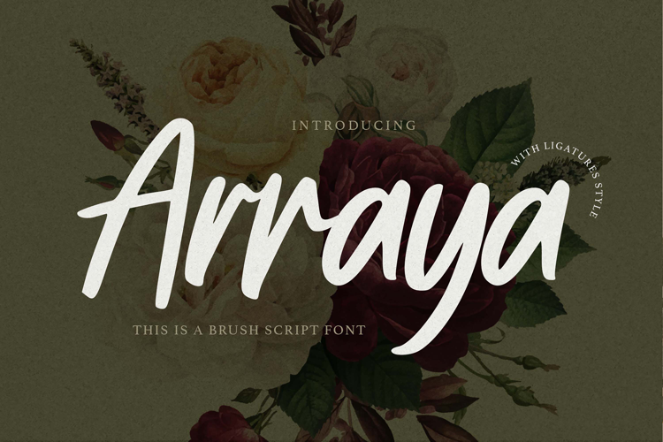 Arraya Font