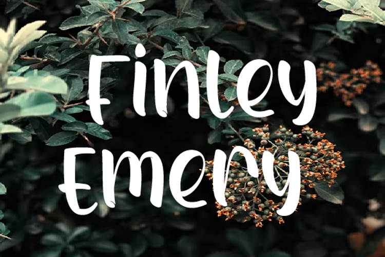 Finley Emery Font