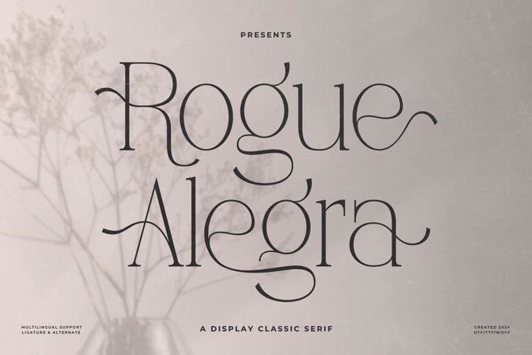 Rogue Alegra Font