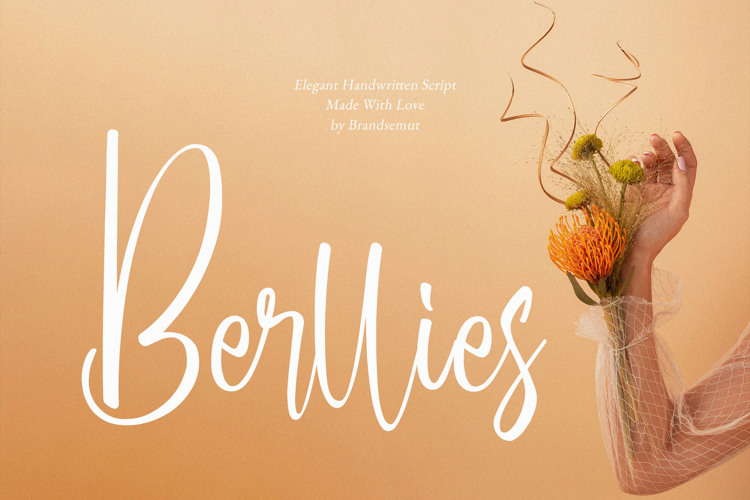 Preview of Berllies Font