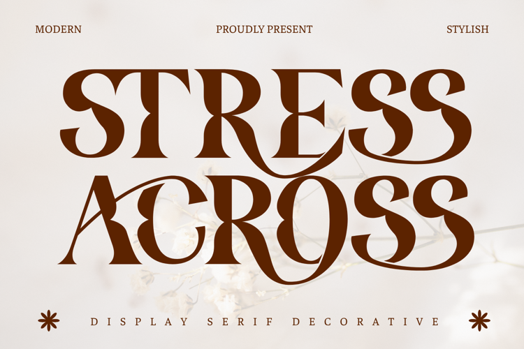 Preview of Stress Across Font