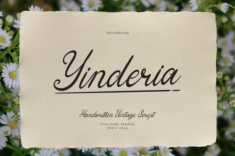 Preview of Yinderia Font