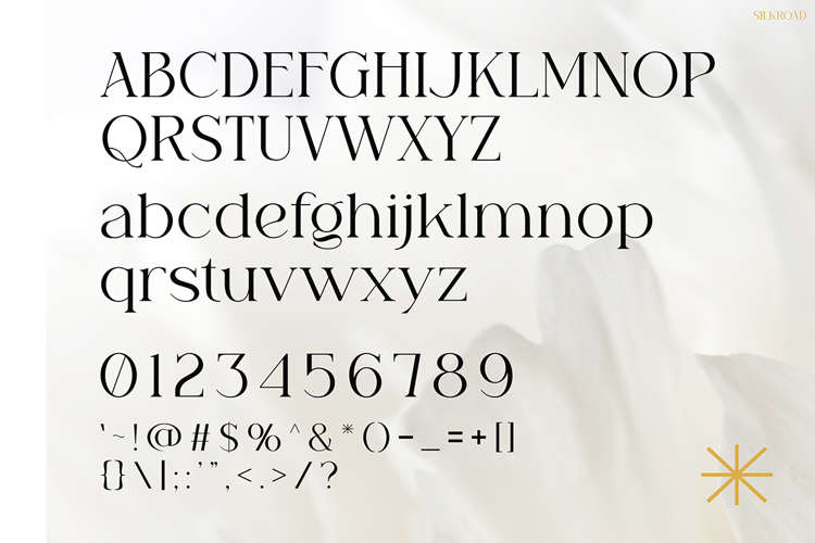 Preview of Silkroad Font