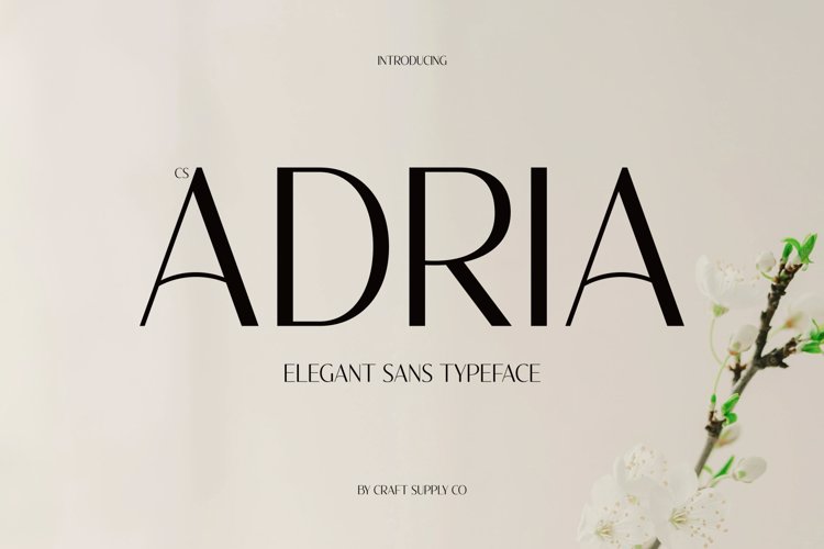 Preview of CS Adria Font