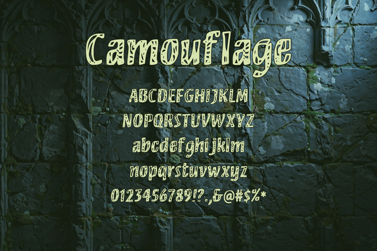 Preview of Camouflage Font