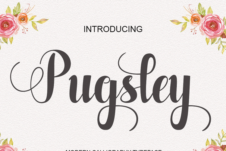 Pugsley Font
