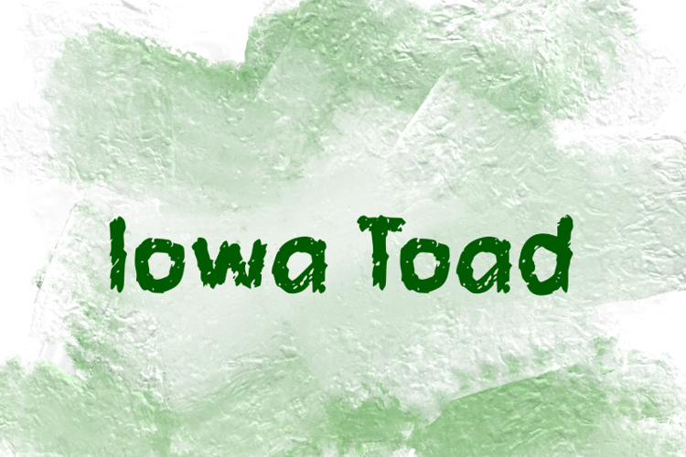 i Iowa Toad Font