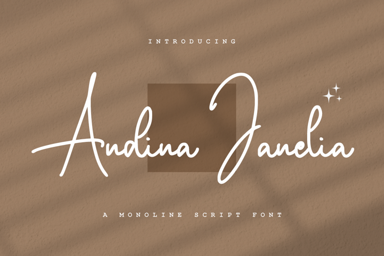 Preview of Andina Janelia Font