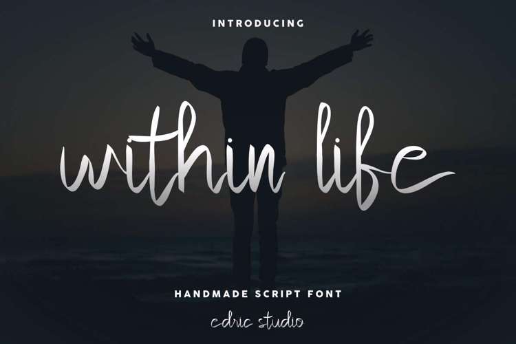 Within Life Font