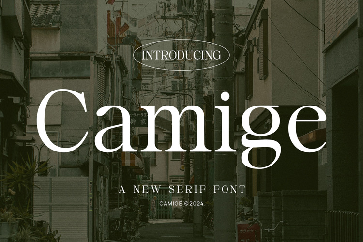 Preview of Camige Font