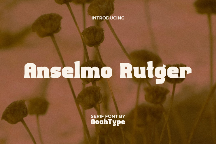 Preview of Anselmo Rutger Font