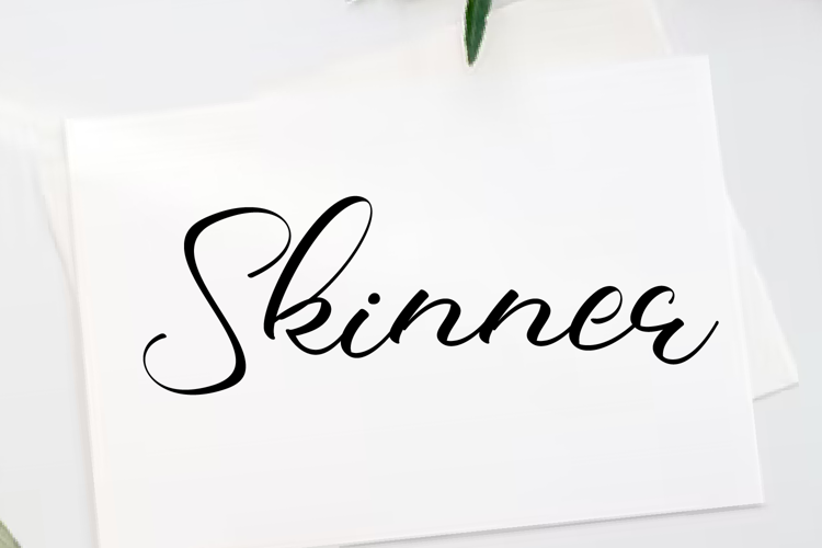 Skinner Font
