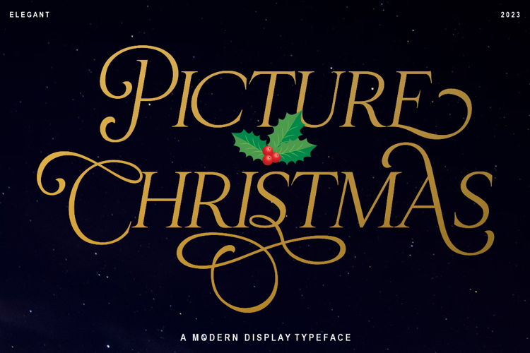 Christmas Picture Font