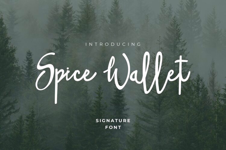 Preview of Spice Wallet Connected Style Font