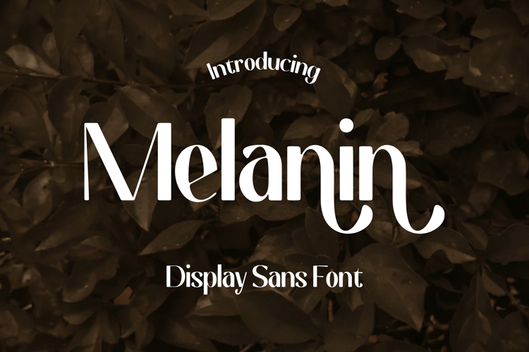 Preview of Melanin Font