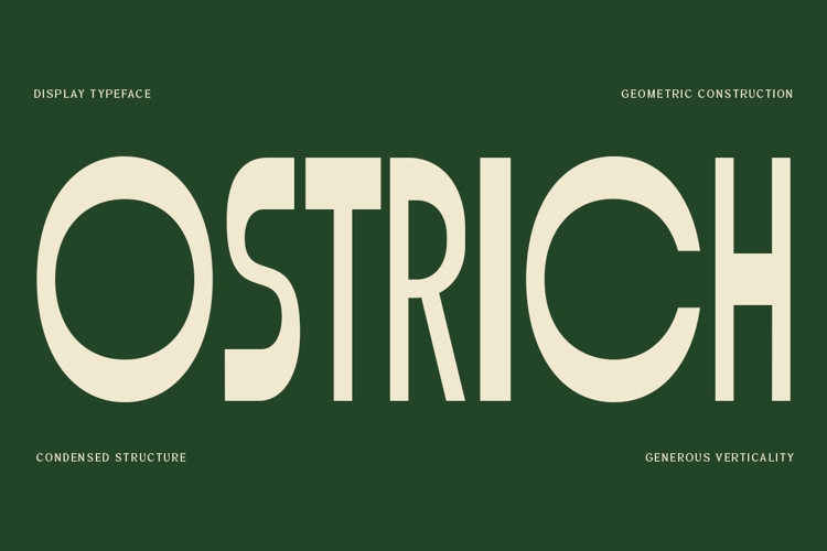 Preview of Ostrich Font