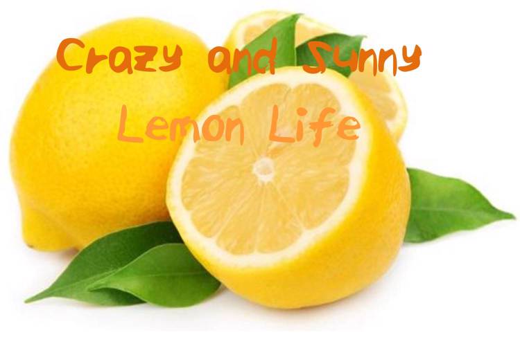 ELF_Crazy_and_Sunny_Lemon_Life Font