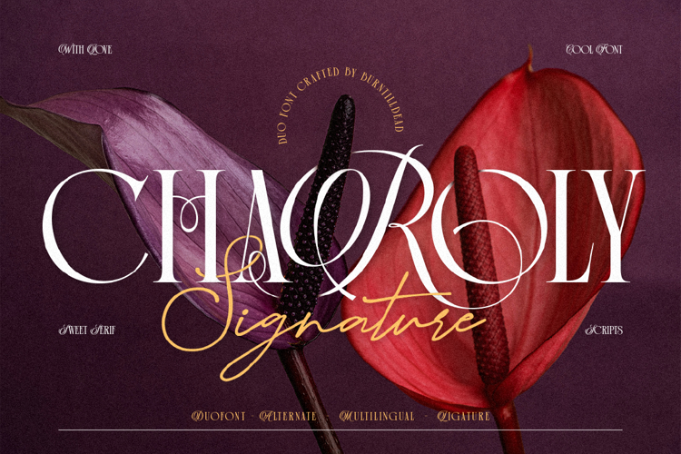 Charoly Signature Demo Font