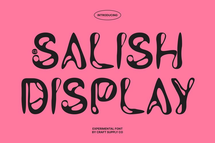 Preview of CS Salish Font