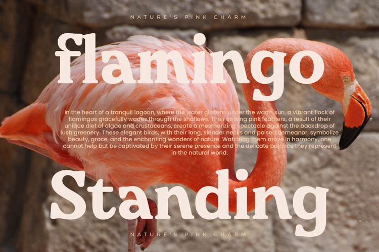 Preview of Bricks Antique VERSION Font