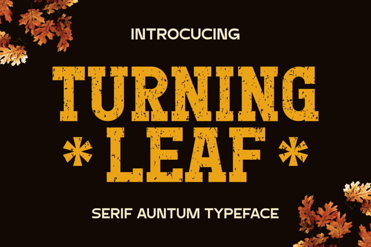 TURNING LEAVES Font