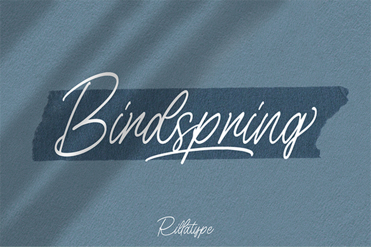 Birdspring Signature Font