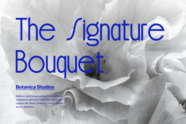 Preview of Bielchon Font