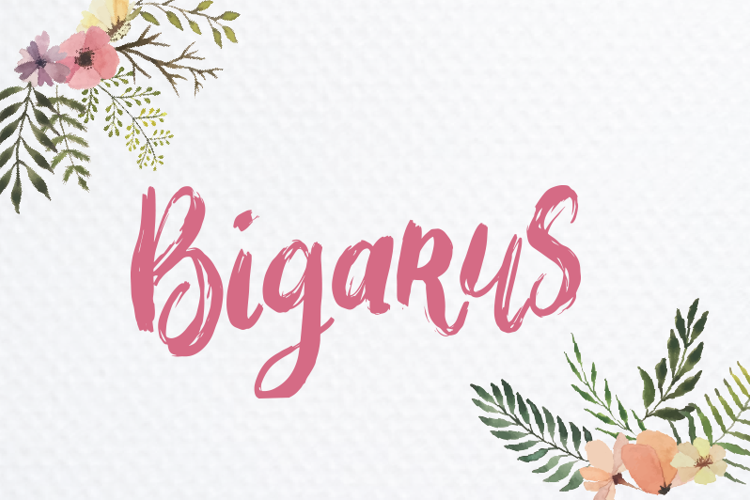 Bigarus Font