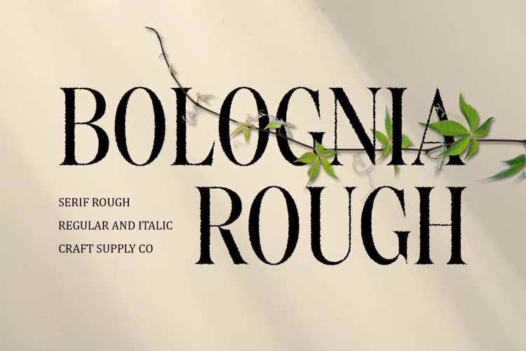 Preview of Bolognia Rough Font