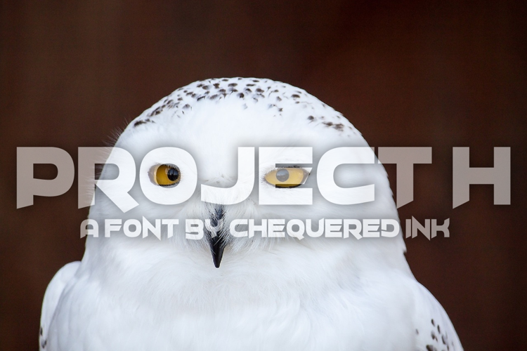 Project H Font