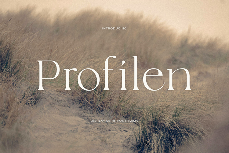 Preview of Profilen Font