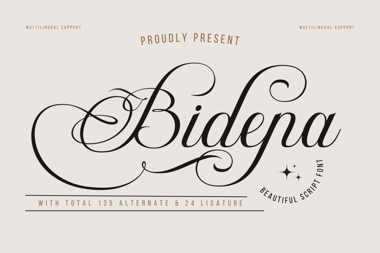 Bidena trial Font