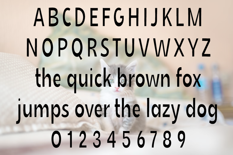 Preview of Skinny Cat Font