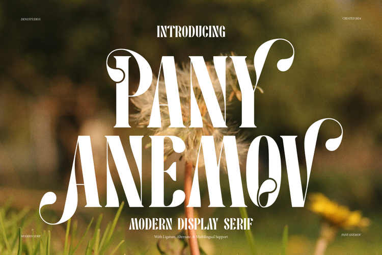 Pany Anemov Font