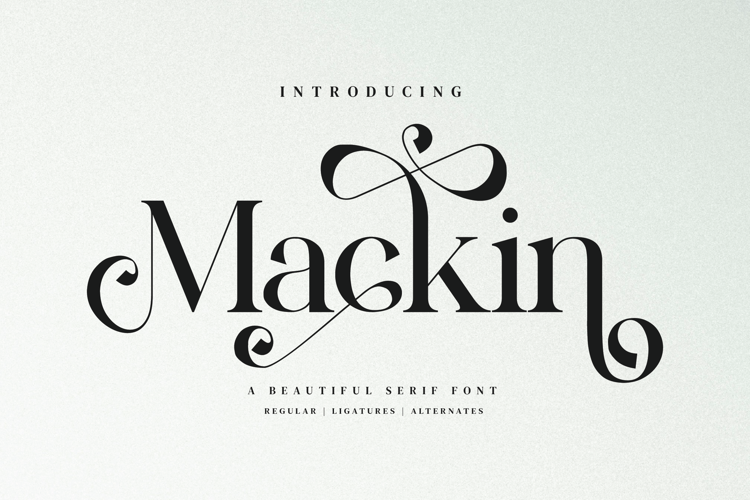 Preview of Mackin Font