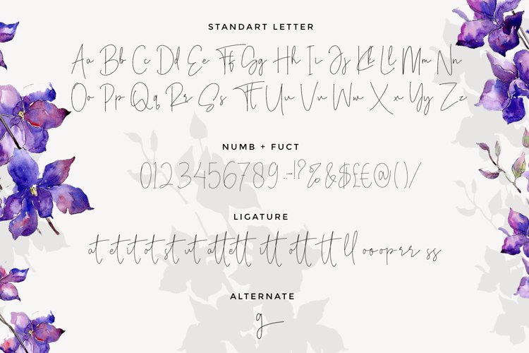 Viollet Signatture Font