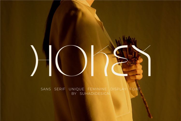 Preview of Hokey Font