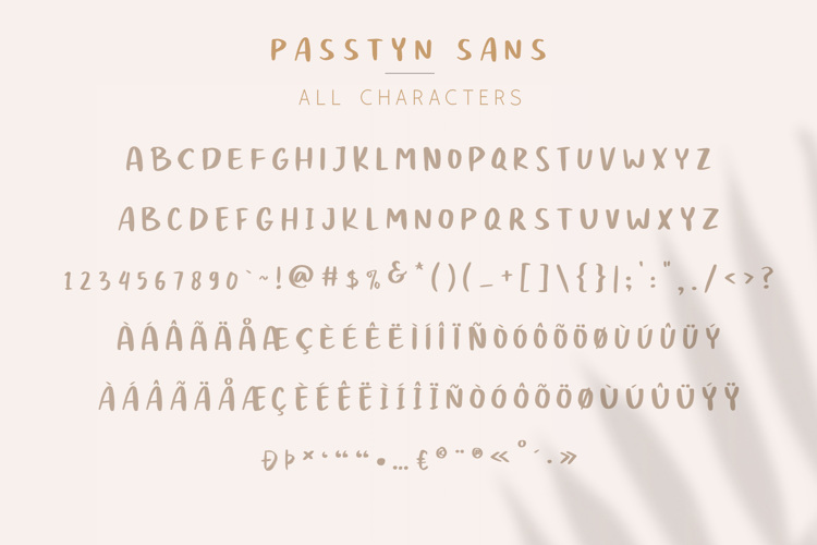 Passtyn Sans Font