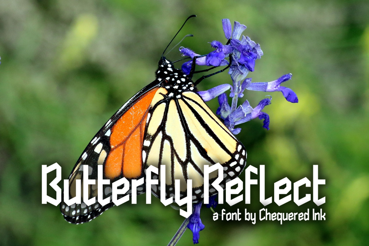 Butterfly Reflect Font
