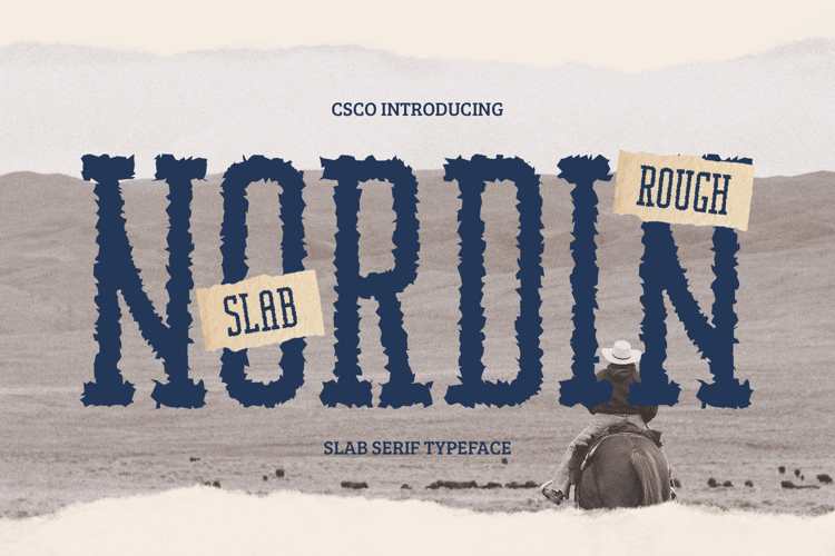 Nordin Slab Rough Font