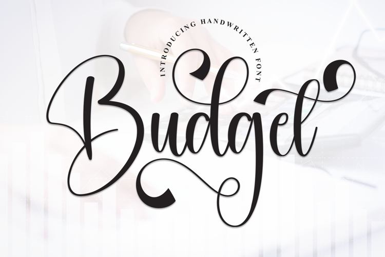 Preview of Budget Font