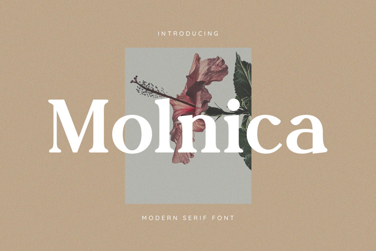 Preview of Molnica Font